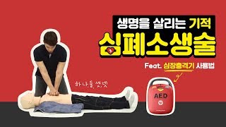 피피루 안전 응급처치를 배워봐요 First aid 심폐소생술 하임리히법 [upl. by Hatnamas]