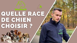 QUELLE RACE DE CHIEN CHOISIR [upl. by Shwalb]