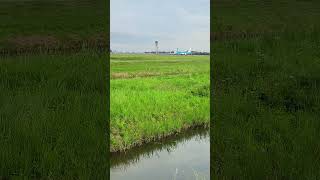 KLM Cityhopper taking off from Polderbaan Amsterdam Airport [upl. by Rosalynd90]