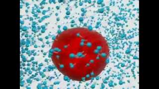 MPCD  Mechanism for the micelle formation and the surfactant action [upl. by Rimaa]