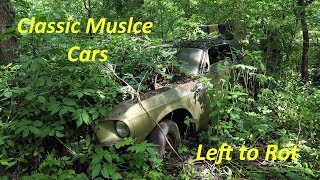 Exploring a Forgotten Muscle Car Graveyard [upl. by Skipton]