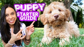 FIRST DAYS WITH NEW PUPPY 🐶 Everything you need to know and do [upl. by Anneuq]