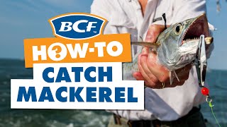 How to Catch Mackerel  BCF How To [upl. by Marie879]