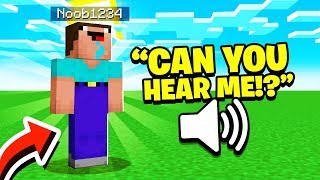 Noob1234 Voice Reveal Minecraft [upl. by Enelear]