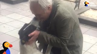 Man Films Himself Reuniting With Dog After 3 Years Apart  The Dodo [upl. by Funch623]