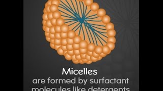 Micelle Function Structure and Formation [upl. by Grannie963]