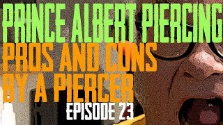 Prince Albert Piercing Pros amp Cons by a Piercer EP 23 [upl. by Julide606]