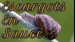 Recette Escargots En Sauce N°240 [upl. by Ydoj869]