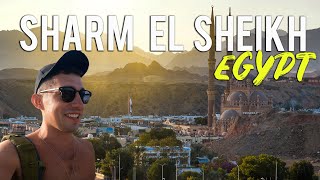 6 THINGS TO DO IN SHARM EL SHEIKH EGYPT 🇪🇬 [upl. by Patten96]