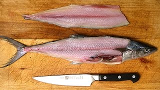 How to Fillet a Fish [upl. by Eatnahc150]