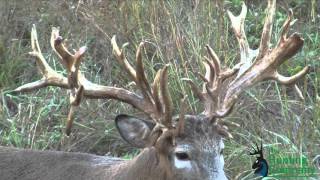 322 Inch Whitetail Buck with a Crossbow in Alabama [upl. by Ylrebmek460]