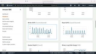 Monitoring and Managing RDS Instances [upl. by Aicylla]