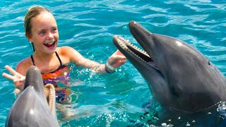 We Play with Dolphins on a Tropical Island Kids Fun TV [upl. by Etnemelc]