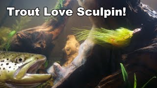 Sculpenstein Sculpin Streamer  Underwater Footage  McFly Angler Fly Tying [upl. by Clorinde180]