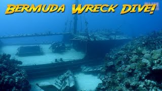 Diving the Hermes Wreck Bermuda The Bermuda Triangle [upl. by Carlynn]