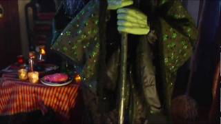 Lifesize Endora the Witch Halloween Figure  Grandin Road [upl. by Ymarej]