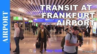 TRANSIT WALK AT FRANKFURT Airport FRA Terminal 1  Connection Flight Transfer Arriving amp Departing [upl. by Mutat139]