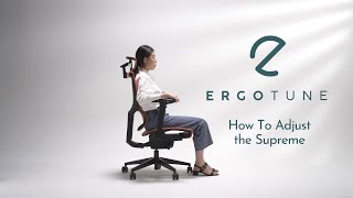 How To Adjust The ErgoTune Supreme [upl. by Anicnarf]