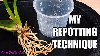 How I repot Oncidium Orchids Vs other growers  Multiple techniques for success [upl. by Moore]