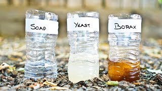 3 DIY Mosquito Trap Comparison Yeast vs Soap vs Borax [upl. by Htebesile]