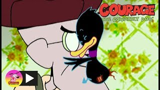 Courage The Cowardly Dog  Deadly Duckling  Cartoon Network [upl. by Allin]