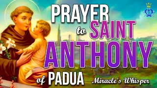 🌿 Miracles Whisper A Prayer to Saint Anthony [upl. by Twila277]