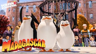 Das Beste von den Pinguinen  Madagascar  Screen Schnipsel [upl. by Aiuqes]