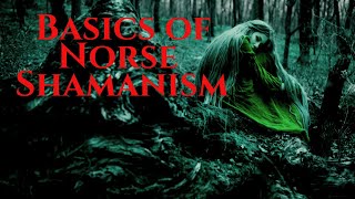 Norse Shamanic Basics [upl. by Einohtna]